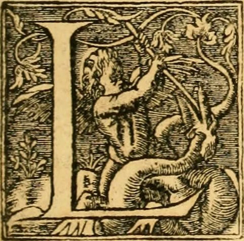 An illustration from Le parfait jardinier, ou, Instruction pour les jardins fruitiers et potagers : avec une Trait© des oranges, suivi de Reflexions sur l'agriculture, 1695, leaf 48