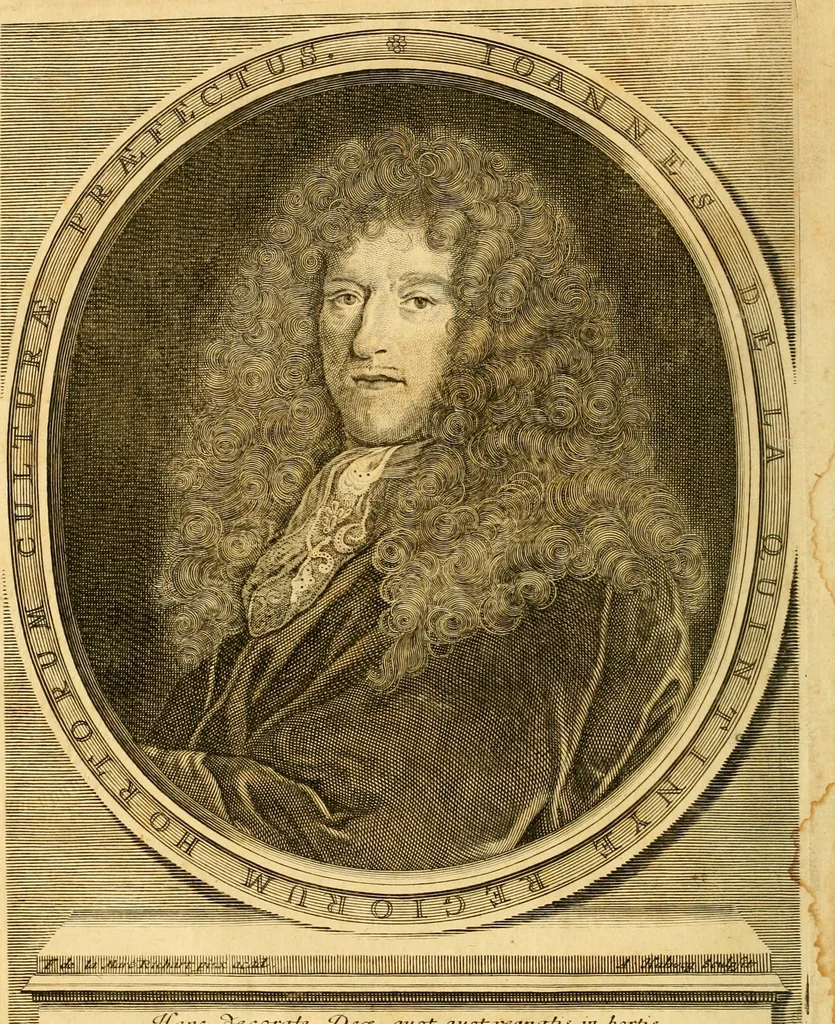 An illustration from Le parfait jardinier, ou, Instruction pour les jardins fruitiers et potagers : avec une Trait© des oranges, suivi de Reflexions sur l'agriculture, 1695, leaf 5