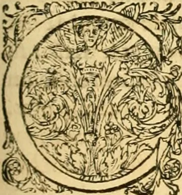 An illustration from Le parfait jardinier, ou, Instruction pour les jardins fruitiers et potagers : avec une Trait© des oranges, suivi de Reflexions sur l'agriculture, 1695, leaf 504
