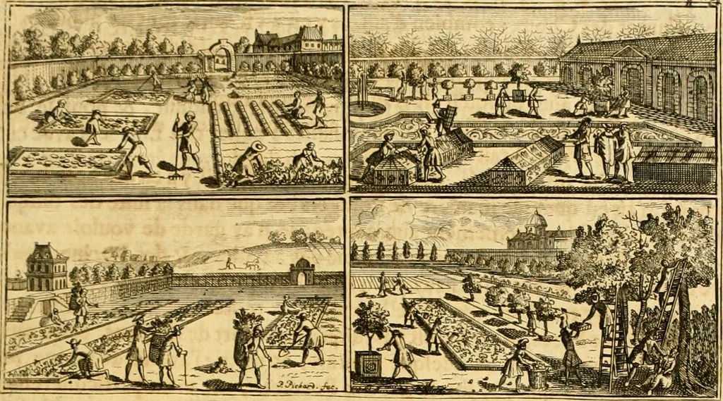 An illustration from Le parfait jardinier, ou, Instruction pour les jardins fruitiers et potagers : avec une Trait© des oranges, suivi de Reflexions sur l'agriculture, 1695, leaf 564
