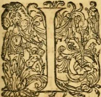 An illustration from Le parfait jardinier, ou, Instruction pour les jardins fruitiers et potagers : avec une Trait© des oranges, suivi de Reflexions sur l'agriculture, 1695, leaf 564