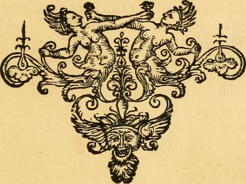 An illustration from Le parfait jardinier, ou, Instruction pour les jardins fruitiers et potagers : avec une Trait© des oranges, suivi de Reflexions sur l'agriculture, 1695, leaf 658