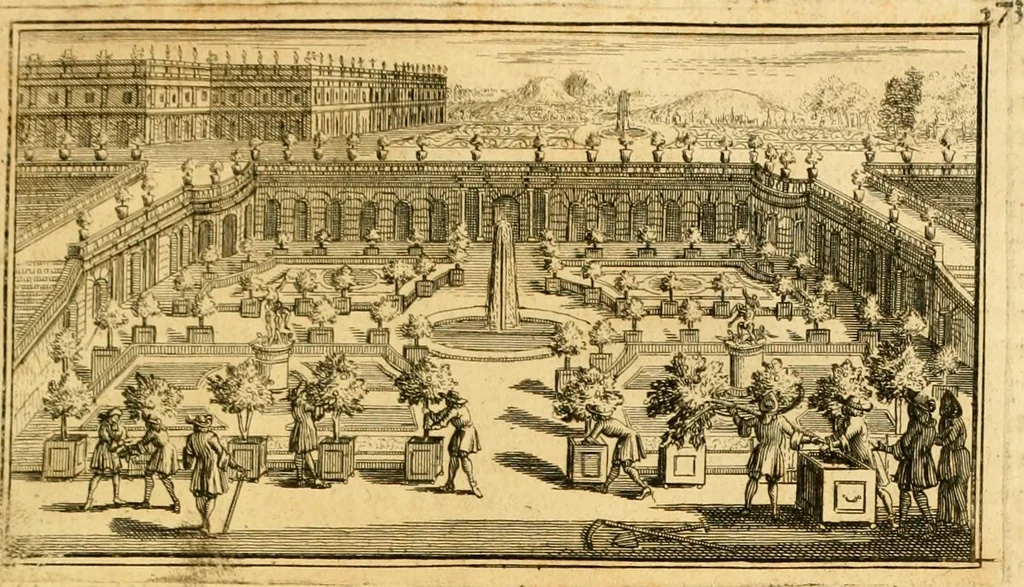 An illustration from Le parfait jardinier, ou, Instruction pour les jardins fruitiers et potagers : avec une Trait© des oranges, suivi de Reflexions sur l'agriculture, 1695, leaf 660