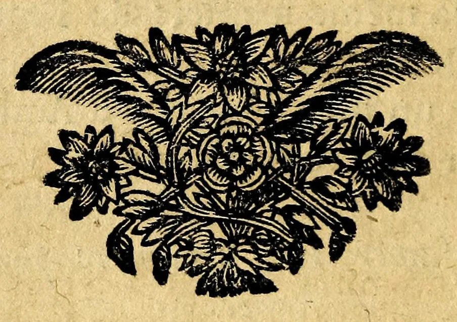 An illustration from Le parfumeur françois qui enseigne toutes les manieres de tirer les odeurs des fleurs, & à faire toutes sortes de composition de parfums. : Avec le secret de purger le tabac en poudre; & le parfumer de toutes sortes d'odeurs. Pour le divertissement de la noblesse, l'ut lité des personnes religieuses & necessaire aux baigneurs & perruquiers, 1698, leaf 144