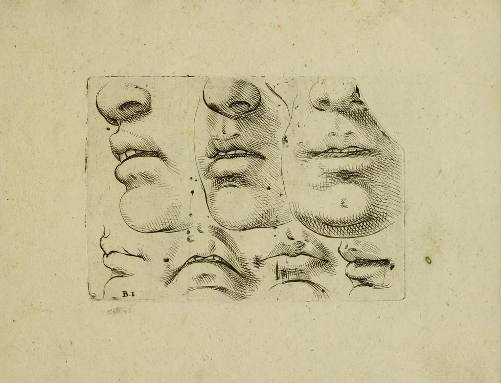 An illustration from Il uero modo et ordine per dissegnar tutte le parti et membra del corpo humano, 1608, leaf 23