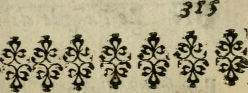 An illustration from Le pazzie de' savi, overo, Il Lambertaccio : poema tragicoeroicomico, 1641, leaf 316