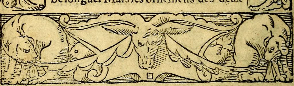 An illustration from Le pegme de Pierre Covstav, 1560, leaf 11