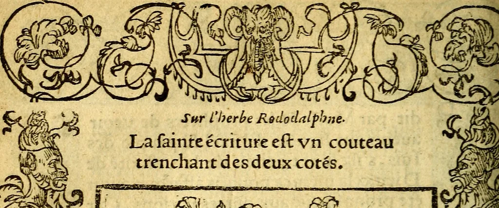 An illustration from Le pegme de Pierre Covstav, 1560, leaf 111
