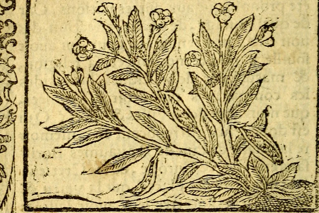 An illustration from Le pegme de Pierre Covstav, 1560, leaf 111