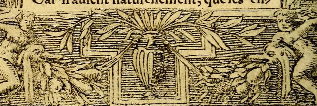 An illustration from Le pegme de Pierre Covstav, 1560, leaf 127