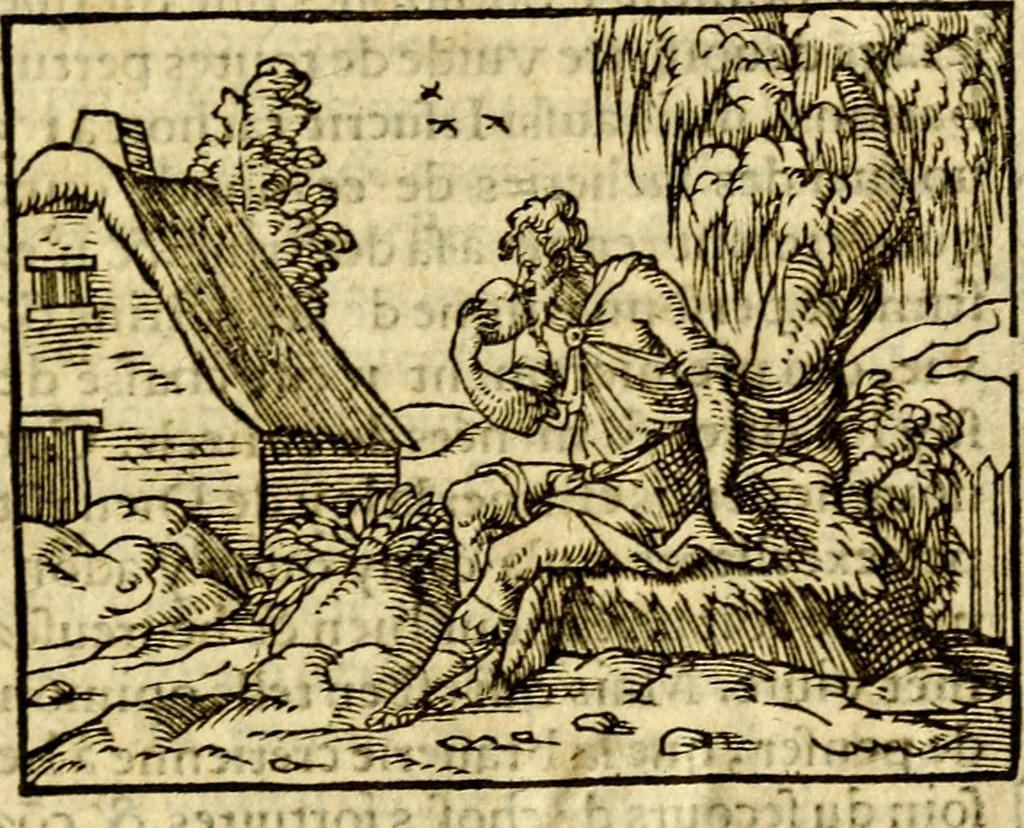 An illustration from Le pegme de Pierre Covstav, 1560, leaf 168