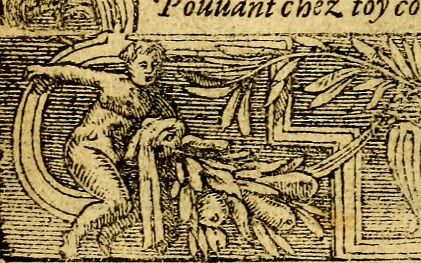 An illustration from Le pegme de Pierre Covstav, 1560, leaf 17
