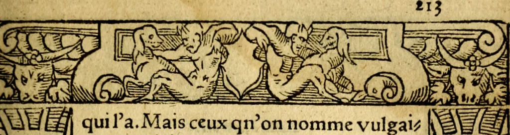 An illustration from Le pegme de Pierre Covstav, 1560, leaf 214