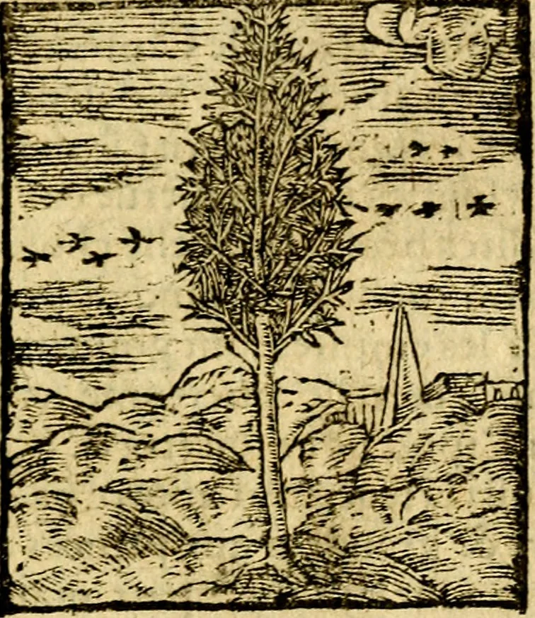 An illustration from Le pegme de Pierre Covstav, 1560, leaf 22