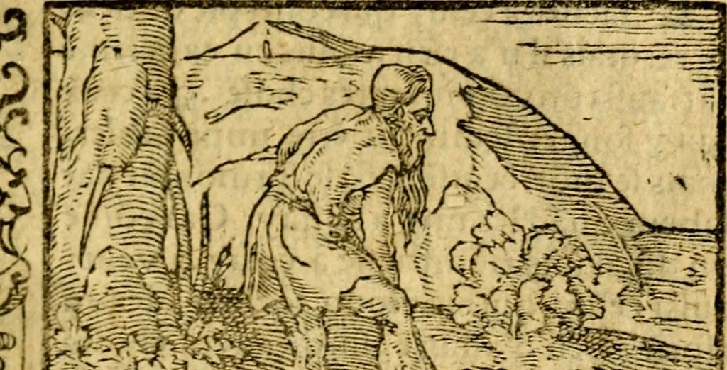 An illustration from Le pegme de Pierre Covstav, 1560, leaf 242