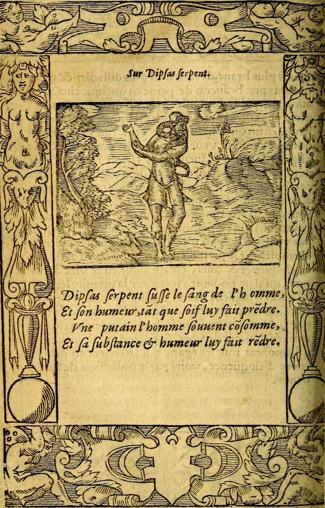 An illustration from Le pegme de Pierre Covstav, 1560, leaf 245