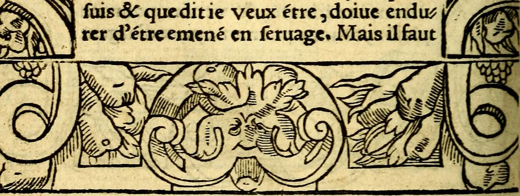 An illustration from Le pegme de Pierre Covstav, 1560, leaf 293
