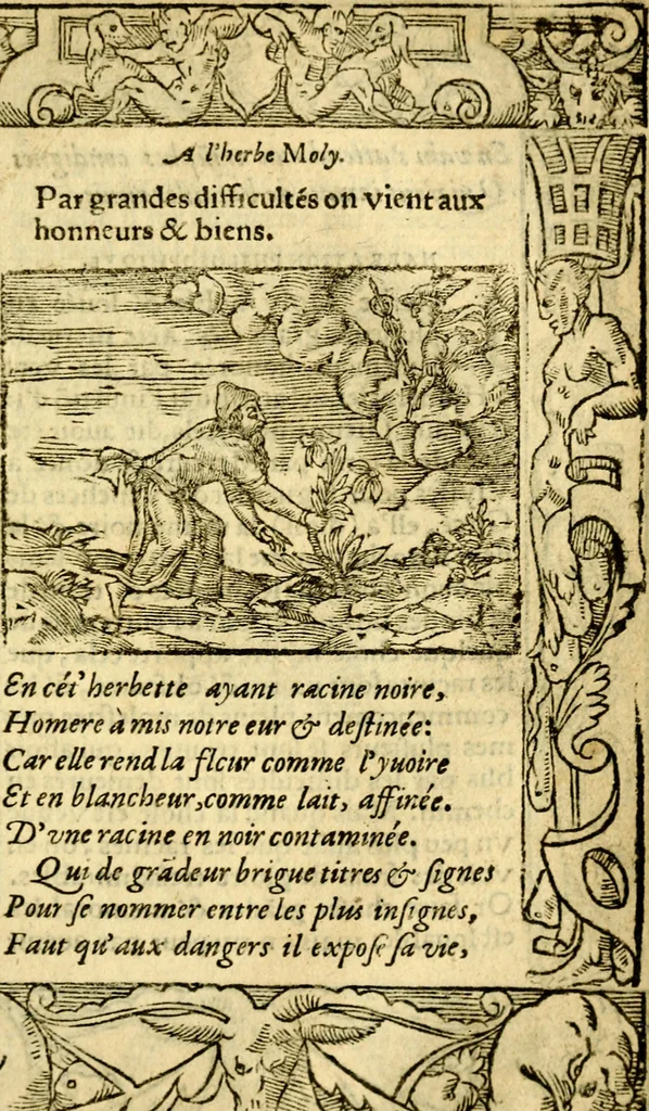 An illustration from Le pegme de Pierre Covstav, 1560, leaf 306