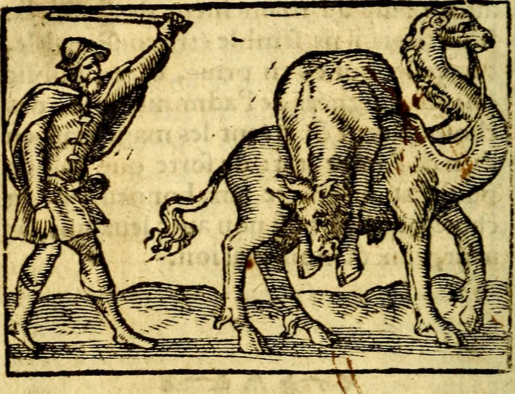 An illustration from Le pegme de Pierre Covstav, 1560, leaf 397