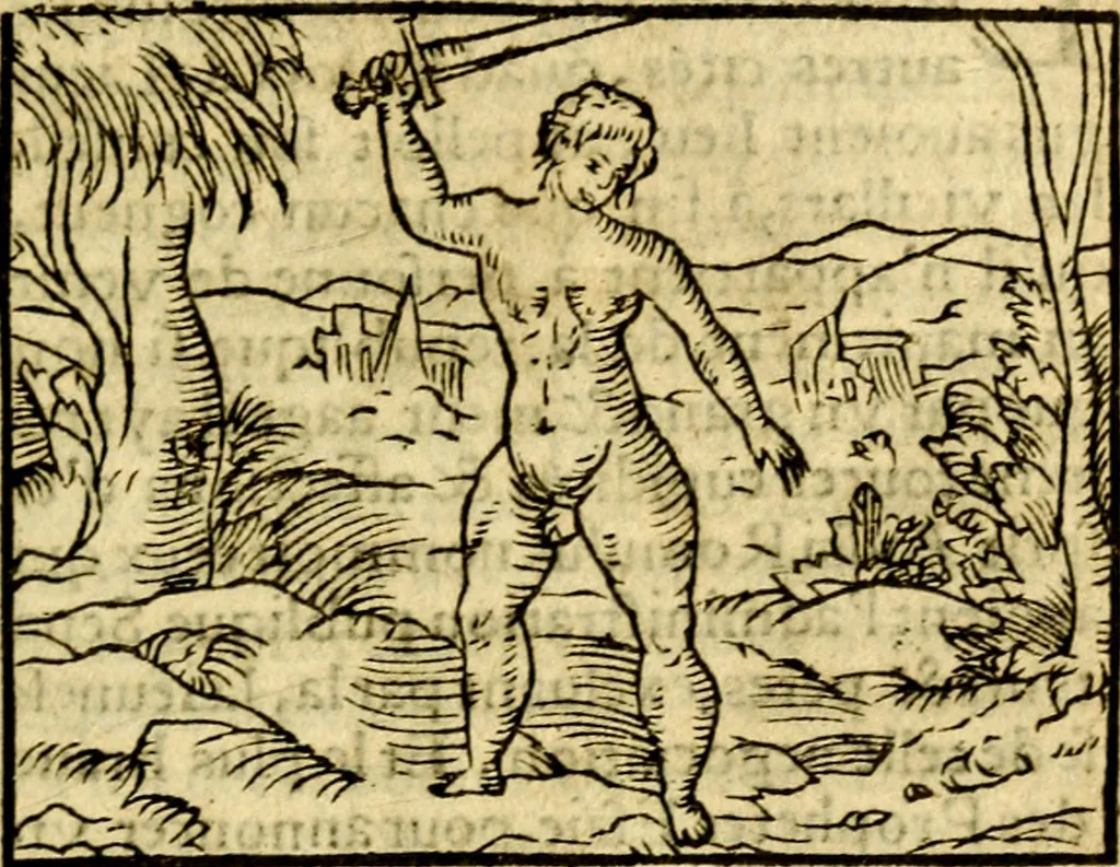 An illustration from Le pegme de Pierre Covstav, 1560, leaf 40