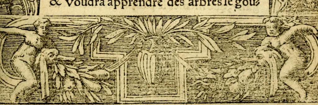 An illustration from Le pegme de Pierre Covstav, 1560, leaf 64