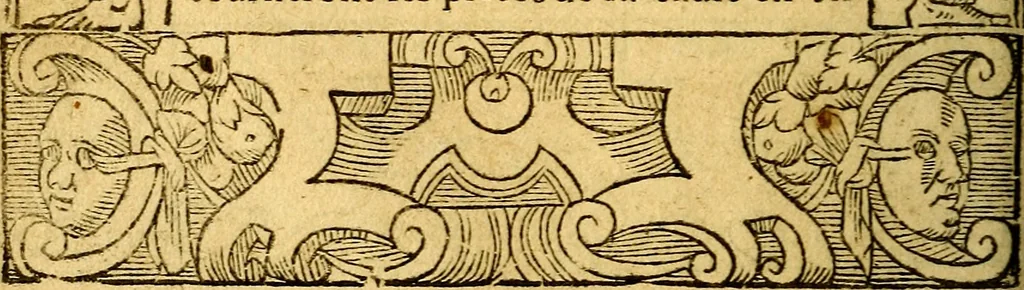 An illustration from Le pegme de Pierre Covstav, 1560, leaf 69