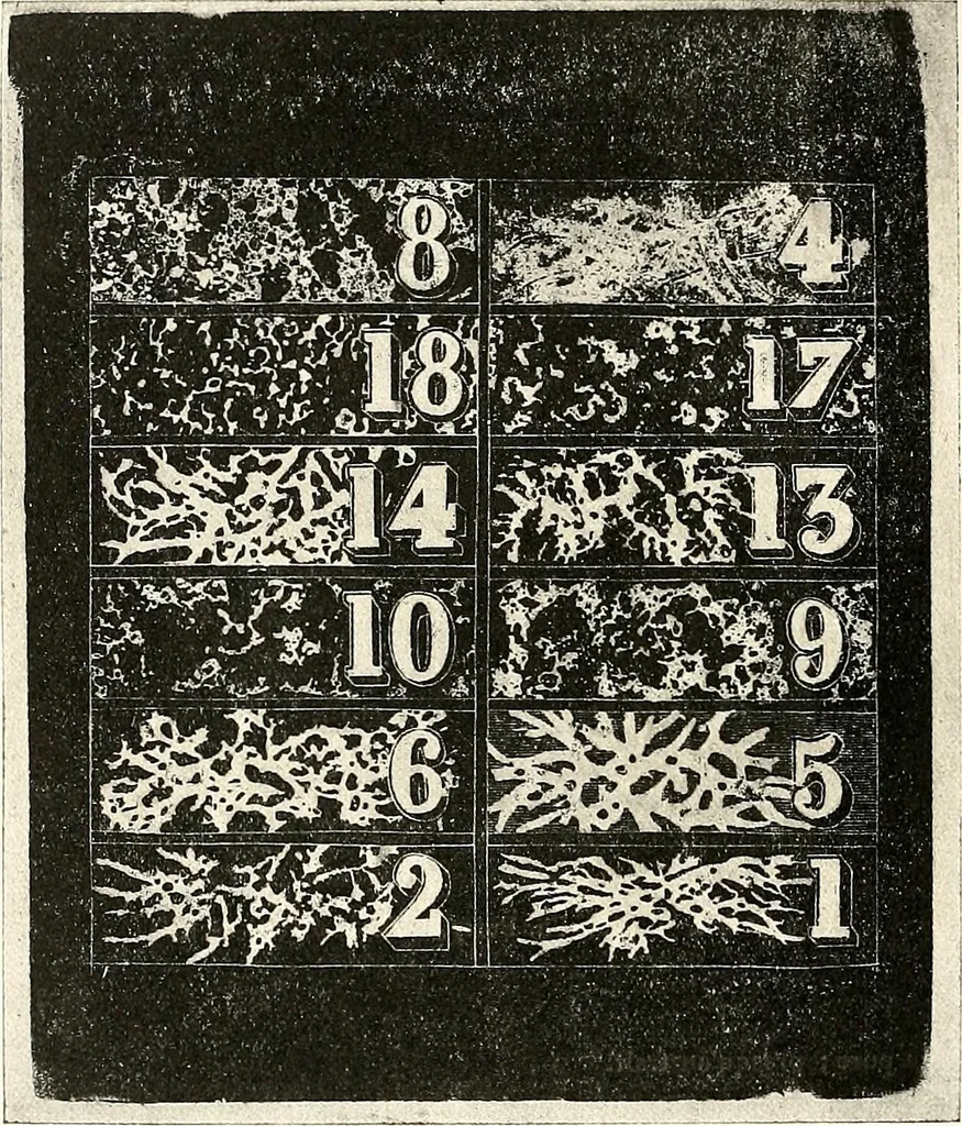 An illustration from Le peintre-graveur illustré : (xix et xx siècles), 1906, leaf 187