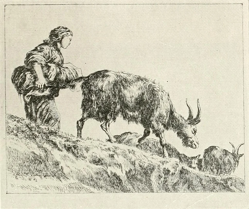 An illustration from Le peintre-graveur illustré : (xix et xx siècles), 1906, leaf 196