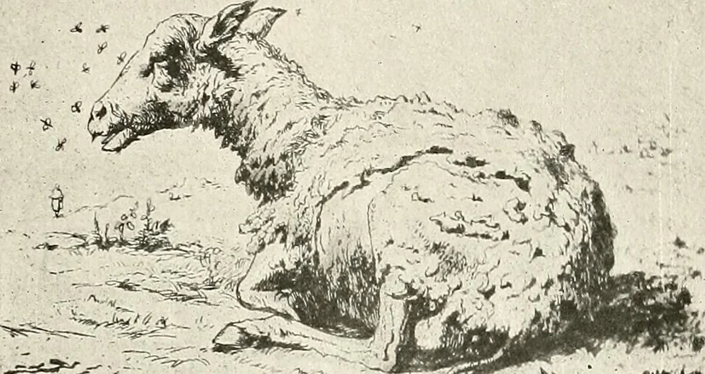 An illustration from Le peintre-graveur illustré : (xix et xx siècles), 1906, leaf 40