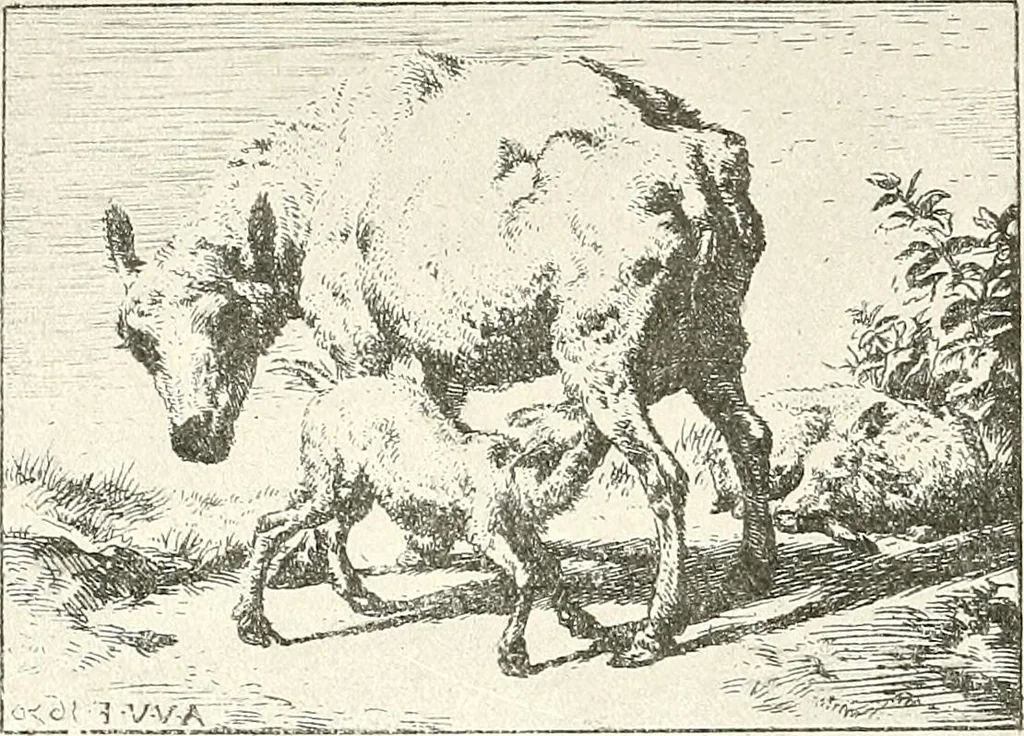An illustration from Le peintre-graveur illustré : (xix et xx siècles), 1906, leaf 43