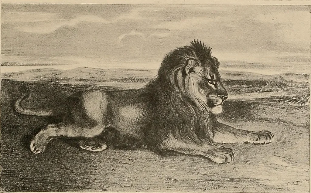 An illustration from Le peintre-graveur illustré : (xix et xx siècles), 1906, leaf 28
