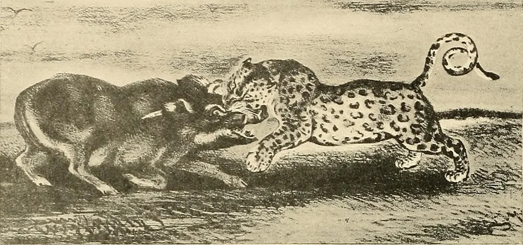 An illustration from Le peintre-graveur illustré : (xix et xx siècles), 1906, leaf 29