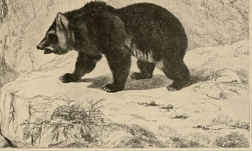 An illustration from Le peintre-graveur illustré : (xix et xx siècles), 1906, leaf 30