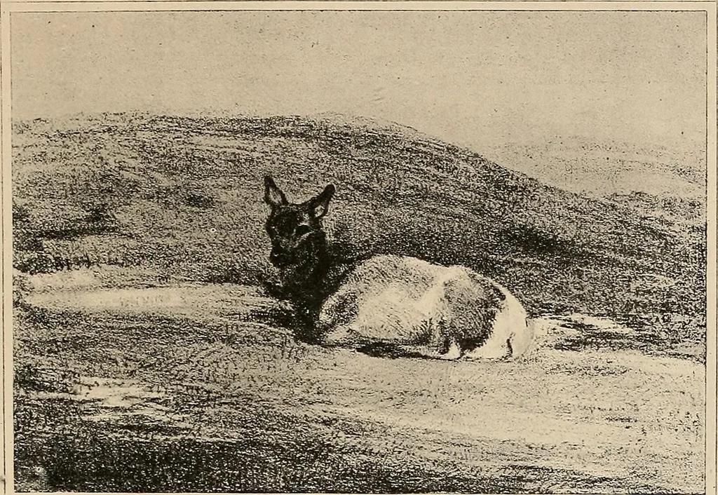 An illustration from Le peintre-graveur illustré : (xix et xx siècles), 1906, leaf 34