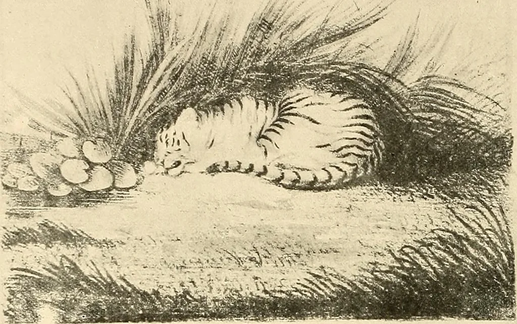 An illustration from Le peintre-graveur illustré : (xix et xx siècles), 1906, leaf 37