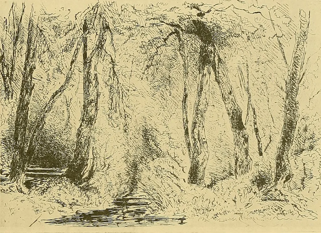 An illustration from Le peintre-graveur illustré : (xix et xx siècles), 1906, leaf 116