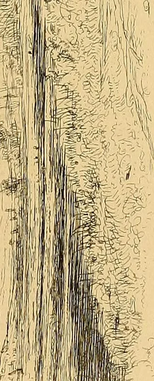 An illustration from Le peintre-graveur illustré : (xix et xx siècles), 1906, leaf 12