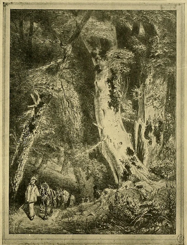 An illustration from Le peintre-graveur illustré : (xix et xx siècles), 1906, leaf 74