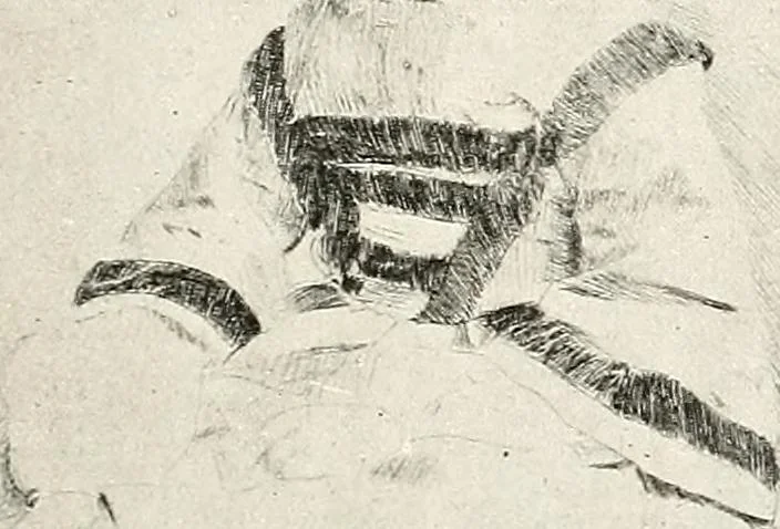 An illustration from Le peintre-graveur illustré : (xix et xx siècles), 1906, leaf 30