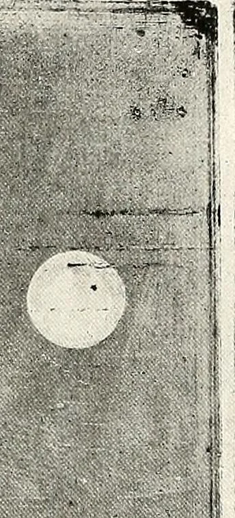An illustration from Le peintre-graveur illustré : (xix et xx siècles), 1906, leaf 45