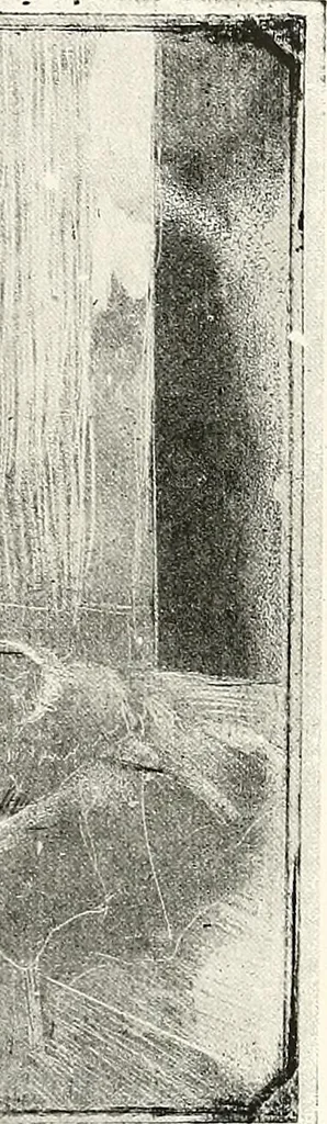An illustration from Le peintre-graveur illustré : (xix et xx siècles), 1906, leaf 46