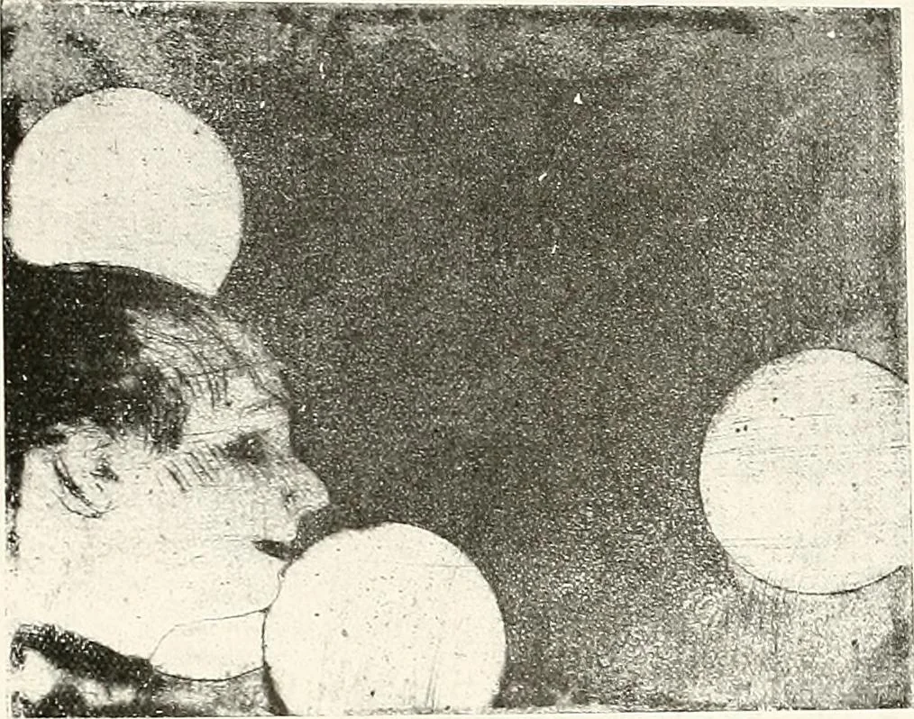 An illustration from Le peintre-graveur illustré : (xix et xx siècles), 1906, leaf 48