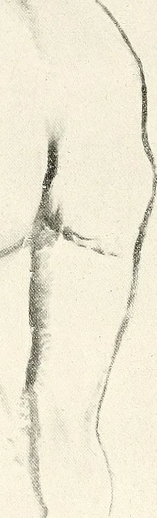 An illustration from Le peintre-graveur illustré : (xix et xx siècles), 1906, leaf 67
