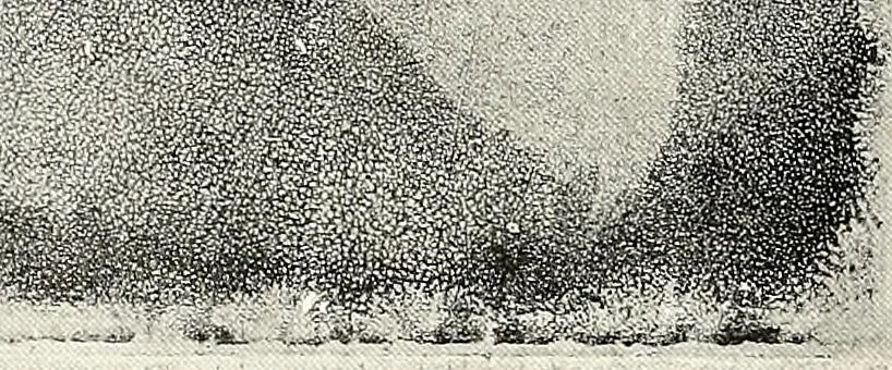 An illustration from Le peintre-graveur illustré : (xix et xx siècles), 1906, leaf 73