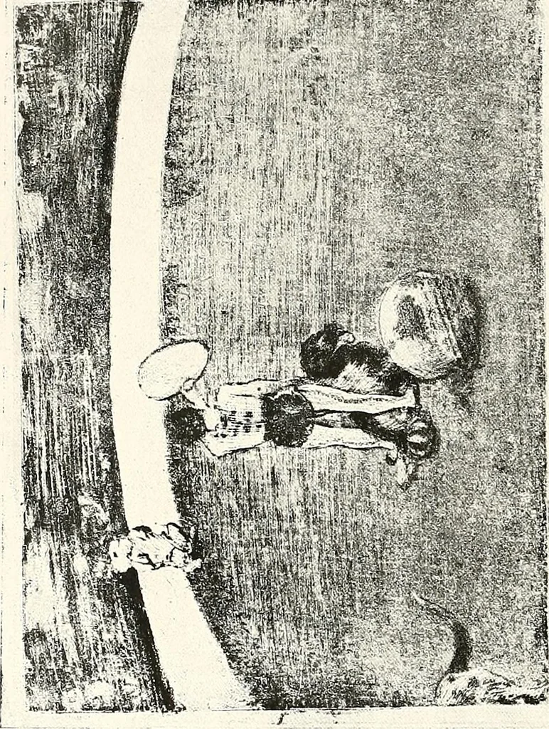 An illustration from Le peintre-graveur illustré : (xix et xx siècles), 1906, leaf 77