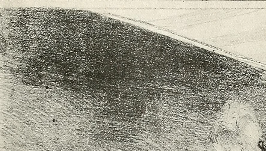 An illustration from Le peintre-graveur illustré : (xix et xx siècles), 1906, leaf 82