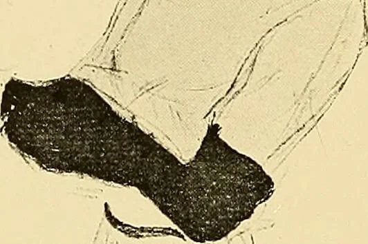 An illustration from Le peintre-graveur illustré : (xix et xx siècles), 1906, leaf 121