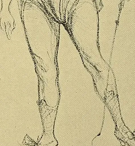 An illustration from Le peintre-graveur illustré : (xix et xx siècles), 1906, leaf 184