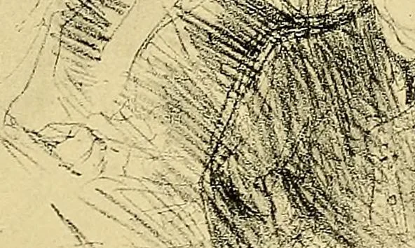 An illustration from Le peintre-graveur illustré : (xix et xx siècles), 1906, leaf 238