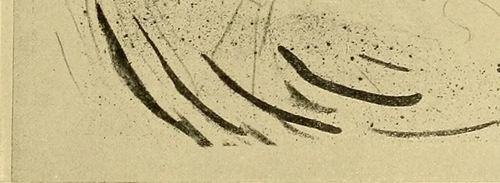 An illustration from Le peintre-graveur illustré : (xix et xx siècles), 1906, leaf 264